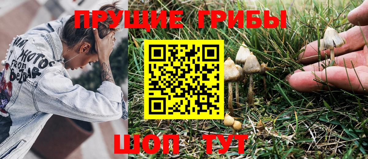 Псилоцибиновые грибы Magic Shrooms Подольск