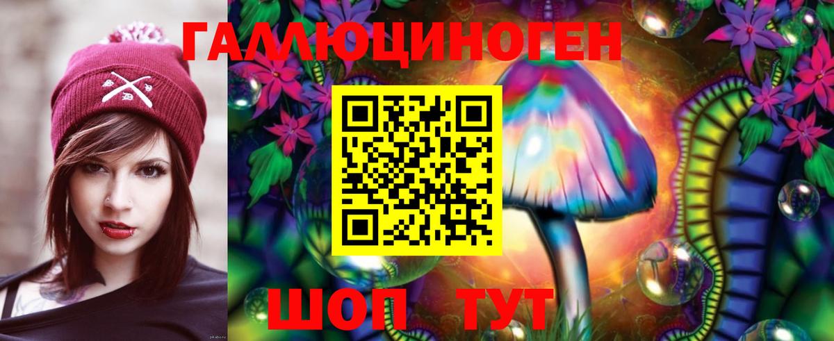Галлюциногенные грибы Psilocybe  Вход с VPN  Подольск 